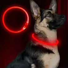 Led Usb Dog Collar Pet Dog Night Luminous Charge Collar