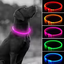 Led Usb Dog Collar Pet Dog Night Luminous Charge Collar