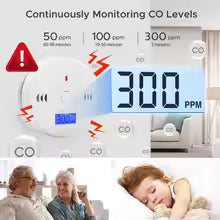Carbon Monoxide Detector Alarm